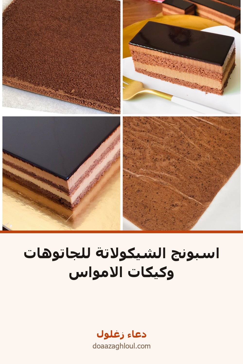 اسبونج الشيكولاتة للجاتوهات وكيكات الامواس | دعاء زغلول