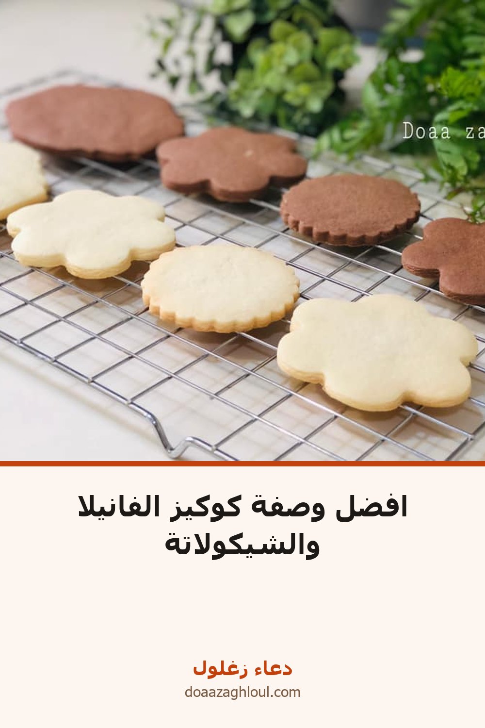 افضل وصفة كوكيز الفانيلا والشيكولاتة | دعاء زغلول